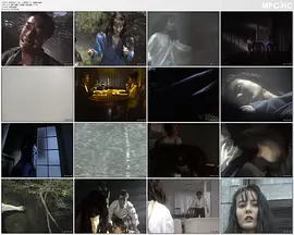 监禁逃亡 美丽的猎物 (1993)