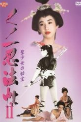 女忍者魔法传2（1992）