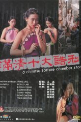 中国酷刑室的故事（1994）