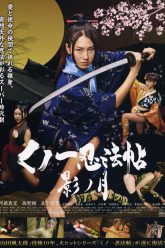 女忍者魔法编年史9（2011）