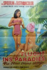 上身裸露的故事（1965年）