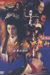 女忍者魔法编年史5（1995）