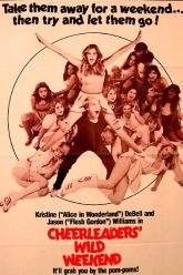 美国女孩大劫案（1979）