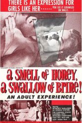 一闻幸福，一口盐水（1966）