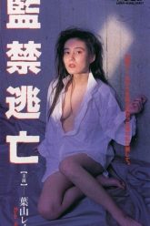 永不回头（1992）