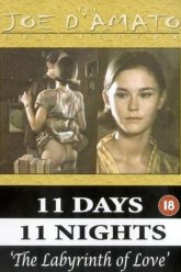 11天11夜：第六部分——爱的迷宫（1993）