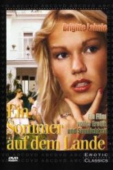 乡村的夏天（1980）