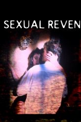 性报复（2004）