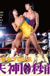 美丽的摔跤手倒下（1984）