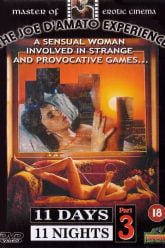十一天十一夜（下） (1989)