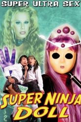 超级忍者比基尼宝贝（2007）