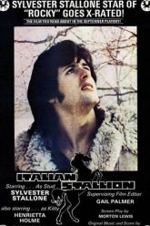 凯蒂和斯塔德的派对（1970）