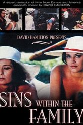 家庭丑闻（1975）