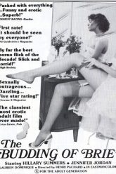 布里的萌芽（1980）