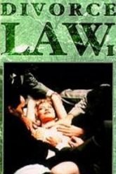 离婚法（1993年）