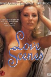 爱情场景（1984）