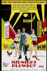 午夜农家男孩（1971）