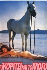 马背上的爱情（1973）