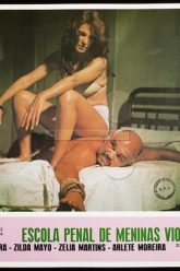 暴力犯罪学校 (1977)