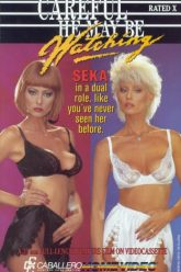 小心，他可能在看着（1987）